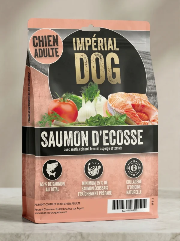 Chien adulte — Superfood Saumon