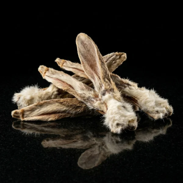 Oreille de lapin